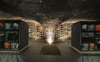 Private Weinprobe im Rheingau