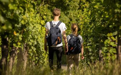 Genussvolle Weinwanderung durch die Weinberge des Rheingaus
