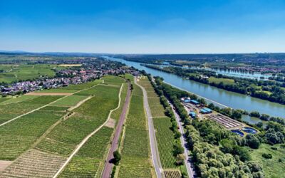 BR Weinwanderung Gutschein