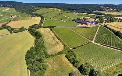Rheingau Weinwanderung Willborn Kapelle