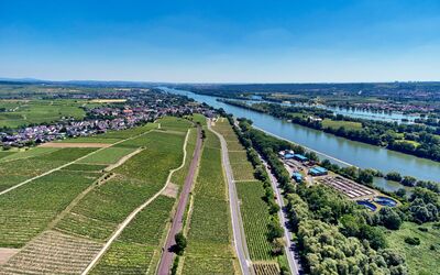 BR Weinwanderung Gutschein