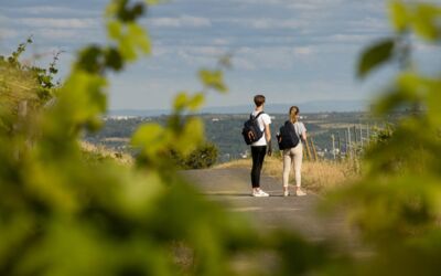 weinwanderung rheingau