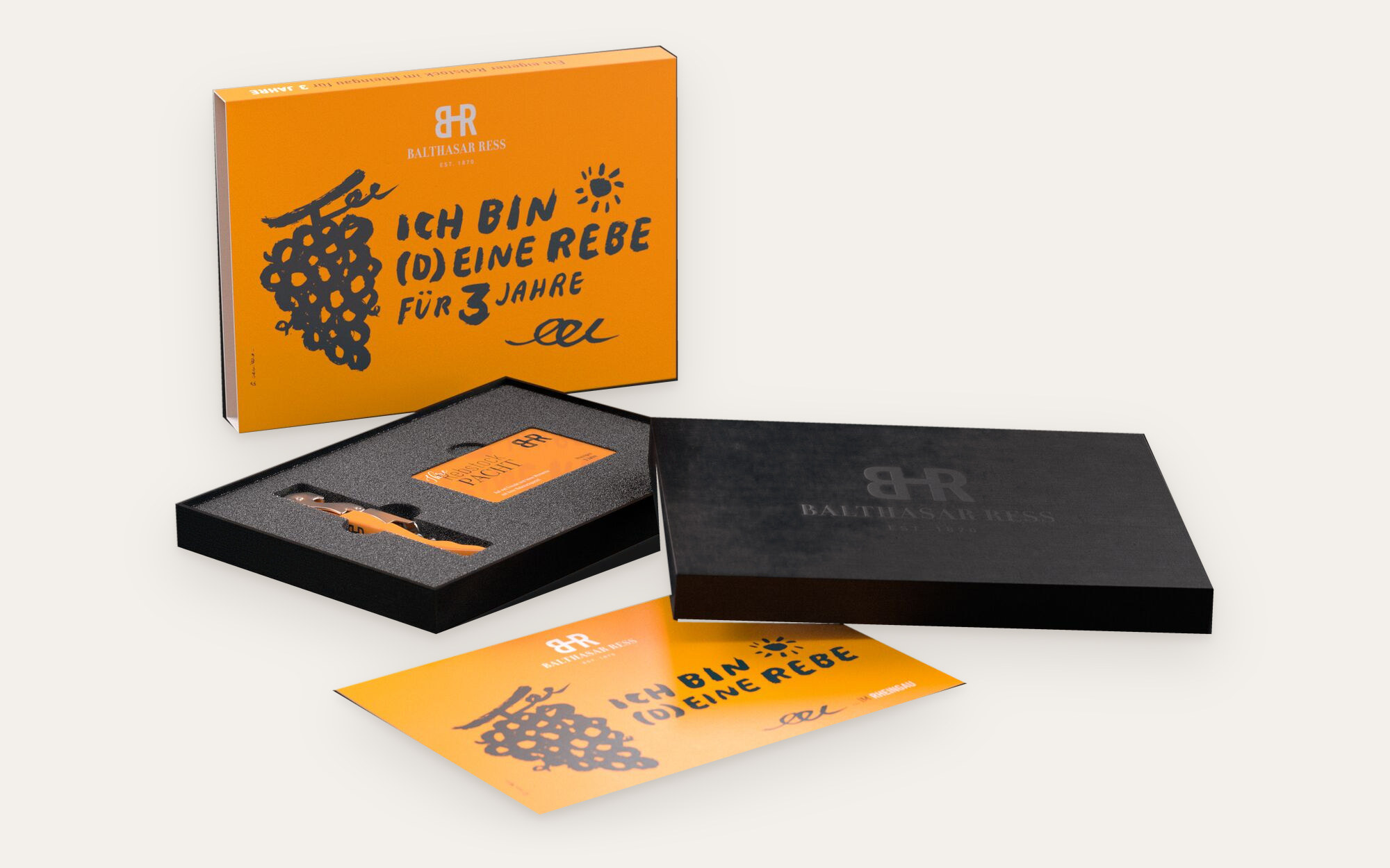 Geöffnete Rebstockpacht-Geschenkbox von Balthasar Ress mit Kellnermesser, Pachtkarte und Urkunde